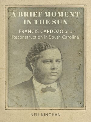 cover image of A Brief Moment in the Sun